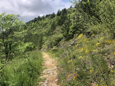 Aventure-autour-de-Mende-Trail-n°6-8211-Mende_3761368