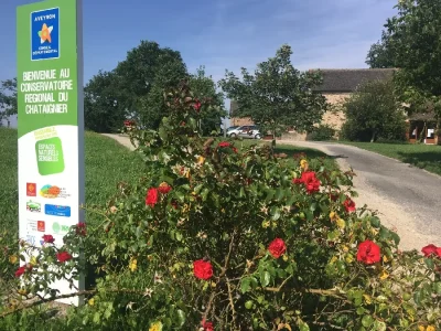 Aveyron-Conservatoire-Regional-du-Chataignier-8211-Rignac_2244217