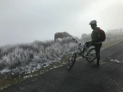 B.A.Bike_1132861