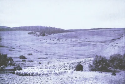 BALADE-ANIMEE-8211-MERCOIRE-D039AUTREFOIS-PAYS-DE-TRANSHUMANCE-8211-Cheylard-l039Eveque_3608807