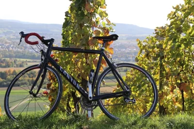 BALADE-AU-COEUR-DES-VIGNOBLES-BRUMONT-EN-VELO-ELECTRIQUE_638624