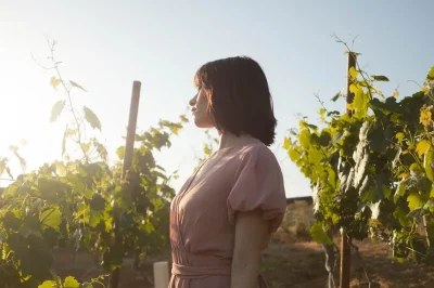 BALADE-DANS-LES-VIGNES-8211-DOMAINE-UMA-8211-Valflaunes_2740033
