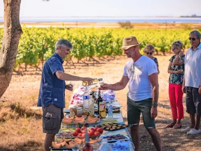 BALADE-VIGNERONNE-8211-11-09-2025-8211-Gruissan_2275878