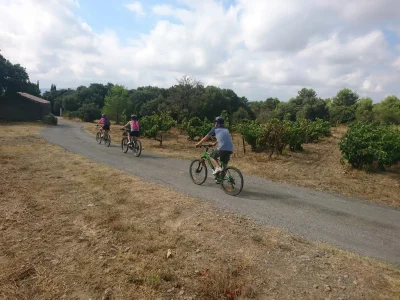 BALADE-VIGNERONNE-A-VELO-8211-JOAN-FOURNIL-8211-Laure-Minervois_3832636
