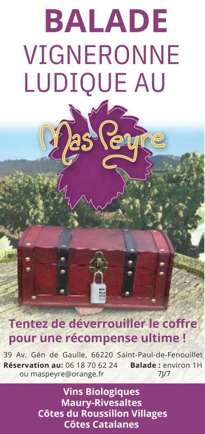 BALADE-VIGNERONNE-LUDIQUE-DU-MAS-PEYRE-8211-Saint-Paul-de-Fenouillet_2564997