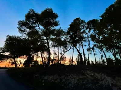 BALADEZ-VOUS-DANS-LES-VIGNES-AU-COUCHER-DU-SOLEIL-AU-DOMAINE-DE-SOUSTRES-8211-Montady_3788597