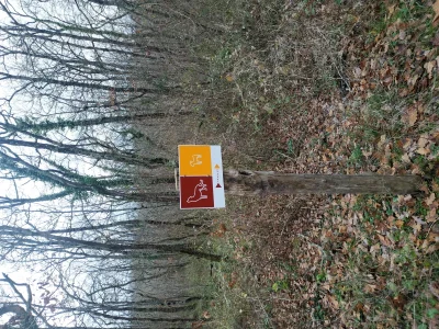 BOIS-BARRAT-8211-Montesquieu-Lauragais_2030811