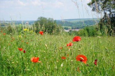 BOUCLE-CYCLOTOURISTIQUE-FAMILLE-PARCOURS-BOTANIQUE_425