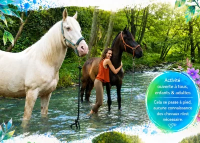 Baignade-et-detente-avec-les-chevaux-8211-28-07-2026-8211-Saint-Pantaly-d039Excideuil_3773689