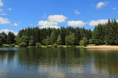 Baignade-surveillee-a-l039etang-de-la-foret-8211-Chenerailles_2812034