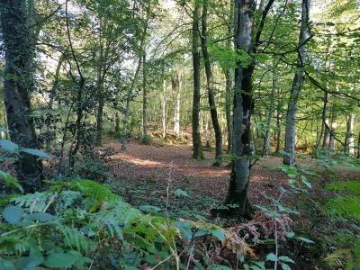 Bain-de-nature-en-baie-8211-Granville_3785034