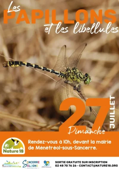 Balade-Nature-Les-papillons-et-les-libellules-8211-27-07-2025-8211-Menetreol-sous-Sancerre_2881239