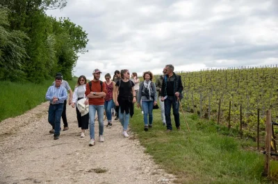 Balade-Vigneronne-avec-le-Champagne-Binon-Coquard-8211-25-07-2026-8211-Spoy_3487508