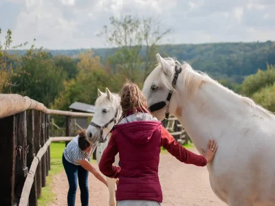 Balade-a-cheval-1-heure-aux-Chevaux-de-Marolles-8211-Marolles_2109164