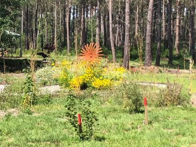 Balade-a-la-decouverte-des-insectes-et-de-la-pollinisation-8211-20-08-2026-8211-Leon_3763742