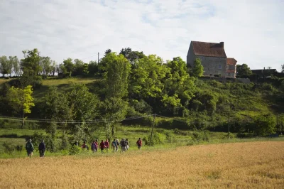 Balade-a-pied-n°65-8211-Entre-Creuse-et-Suin-8211-Tournon-Saint-Martin_1391240-1