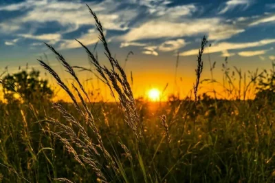 Balade-au-coucher-du-soleil-a-Antran-8211-25-07-2025-8211-Antran_2732972