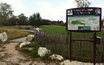 Balade-avec-Pauv039Coco-au-Sentier-du-Faurissou-8211-12-04-2025-8211-Issigeac_2409075