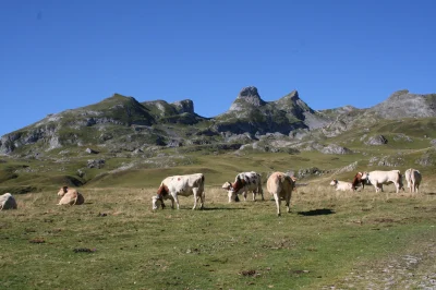 Balade-chantee-entre-France-et-Espagne-8211-Laruns_2389946