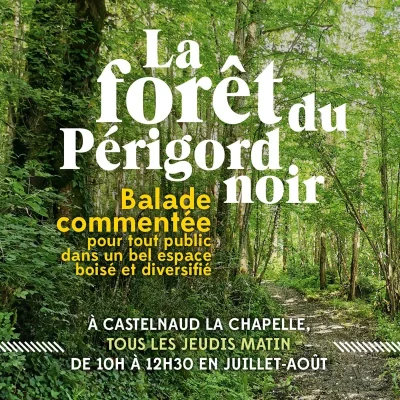 Balade-commentee-8211-Foret-Perigord-Noir-8211-14-08-2025-8211-Castelnaud-la-Chapelle_2896762