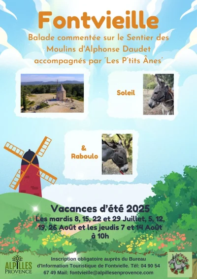 Balade-commentee-au-pas-de-l039ane-sur-le-Sentier-des-Moulins-d039Alphonse-Daudet-8211-15-07-2025-8211-Fontvieille_2433012
