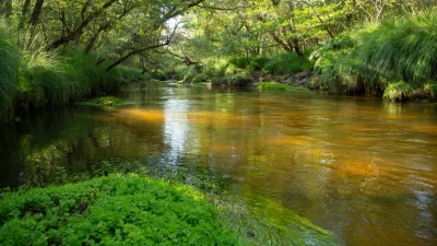 Balade-decouverte-au-bord-de-la-Leyre-8211-08-07-2025-8211-Le-Teich_2896538