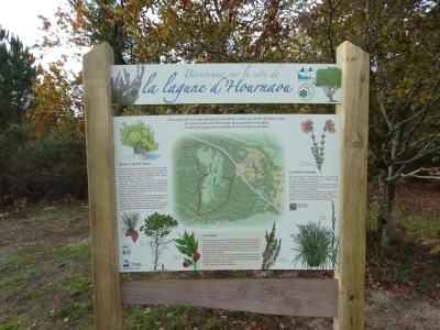 Balade-decouverte-de-la-lagune-d039Hournaou-8211-12-08-2025-8211-Biscarrosse_2889387