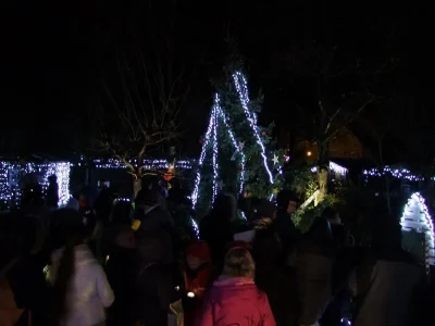 Balade-des-lumieres-8211-20-12-2025-8211-Bischwiller_3121419-1