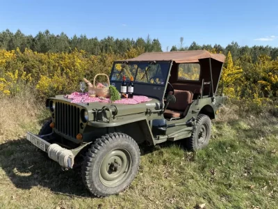 Balade-en-Mehari-Jeep-dans-les-vignes_1135555