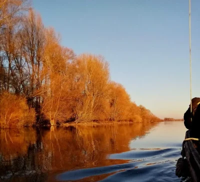 Balade-en-bateau-traditionnel-sur-la-Loire-avec-Milliere-Raboton-8211-Chaumont-sur-Loire_1714856