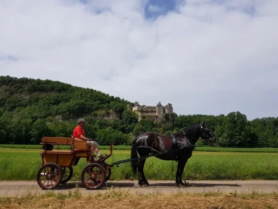 Balade-en-caleche-sur-le-Causse-de-Limogne-8211-Promilhanes_2914099-1