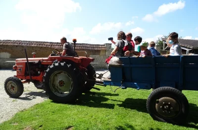 Balade-en-tracteur-vintage-8211-Ferme-musee-du-Cotentin-8211-25-02-2026-8211-Sainte-Mere-Eglise_3391157