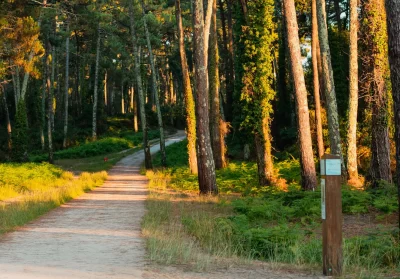 Balade-entre-golf-et-foret_1064888