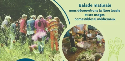 Balade-et-cuisine-avec-des-plantes-sauvages-comestibles-8211-28-05-2025-8211-Lespielle_2571613