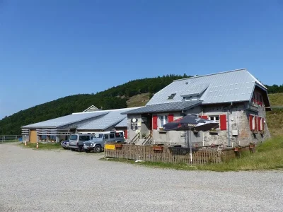 Balade-ferme-auberge-Haag-entre-ombre-des-hetraies-et-lumiere-8211-Geishouse_2880795