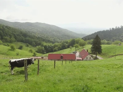 Balade-ferme-auberge-Kohlschlag-entre-chateaux-et-chapelle-8211-Willer-sur-Thur_2922882