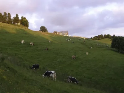 Balade-ferme-auberge-Treh-le-domaine-de-l039envol-8211-Linthal_2793789