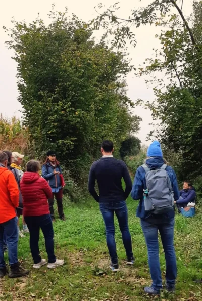 Balade-guidee-8211-L039histoire-du-bocage-8211-Beauchamps_3697654