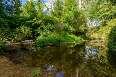 Balade-nature-a-Thollet-8211-08-04-2026-8211-Thollet_3480286