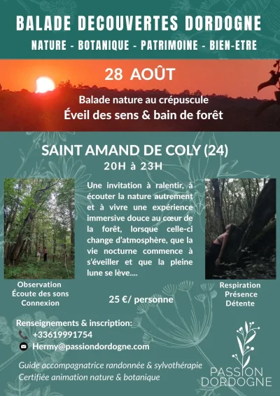 Balade-nature-au-crepuscule-8211-28-08-2026-8211-Coly-Saint-Amand_3812978