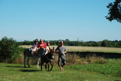 Balade-nature-avec-un-ane-8211-Venesmes_2488858