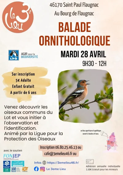 Balade-ornithologique-au-3eme-Lieu-8211-28-04-2026-8211-Saint-Paul-Flaugnac_3594779