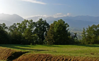 Balade-patrimoine-d039Asson-une-communaute-pastorale-millenaire-8211-Asson_1054294