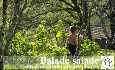 Balade-salade-–-Initiation-au-monde-des-plantes-8211-07-06-2025-8211-Vayres_2575758