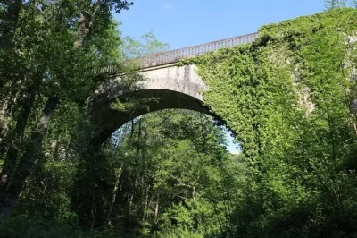 Balade-sur-les-berges-de-l039Isle-8211-29-08-2025-8211-Le-Chalard_2620940