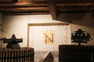Balade-vigneronne-Domaine-Nigri-8211-29-07-2025-8211-Monein_2349127