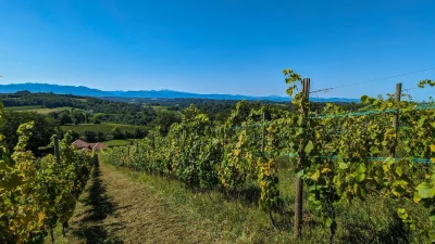 Balade-vigneronne-Le-Dome-8211-19-08-2025-8211-Monein_2850529
