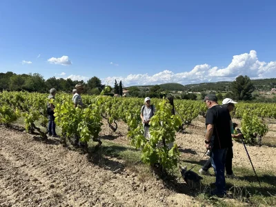 Balade-vigneronne-en-Provence-8211-10-09-2025-8211-Martigues_3039265