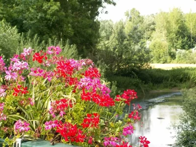 Balham-8211-Village-Fleuri-quot1-fleurquot_566935