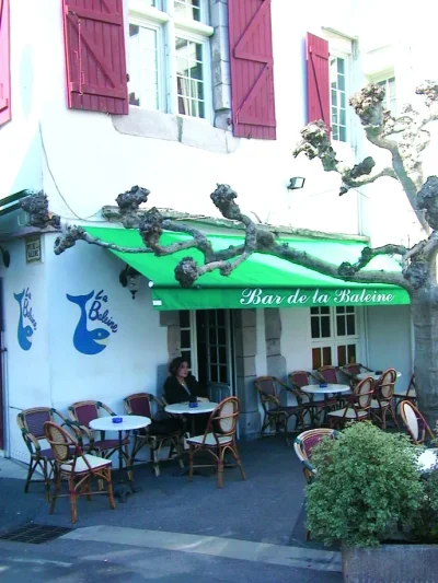 Bar-8211-Brasserie-de-la-Baleine-8211-Saint-Jean-de-Luz_3197818